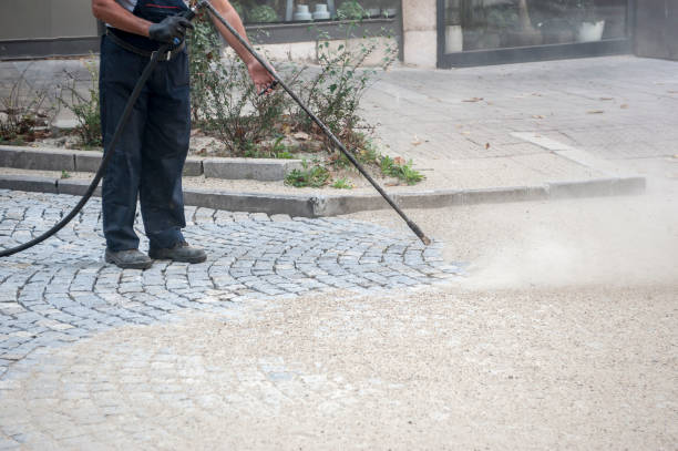 Best Dumpster Area Cleaning  in Baldwin, MI